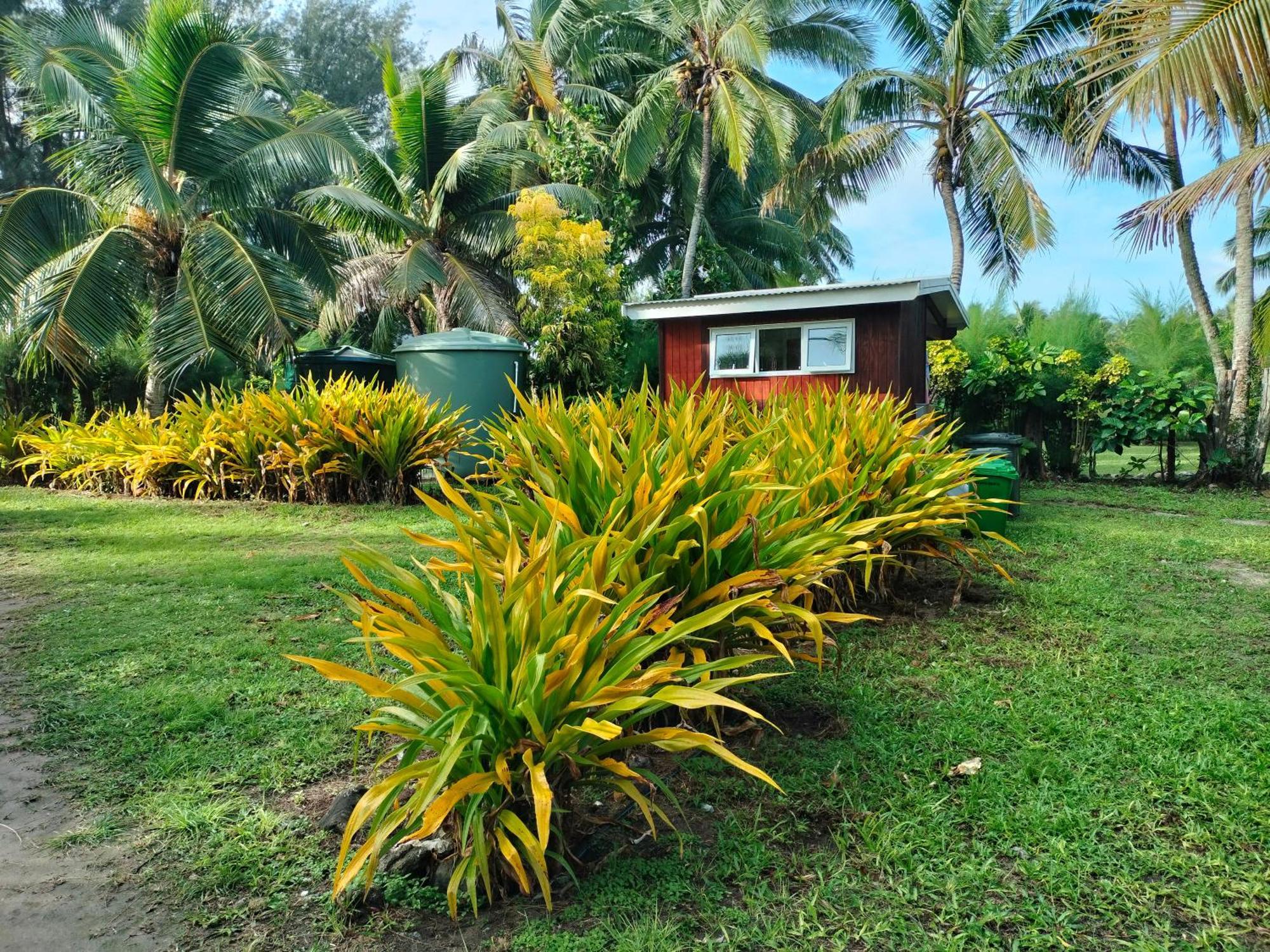 Oronga Beach 阿罗朗吉 外观 照片