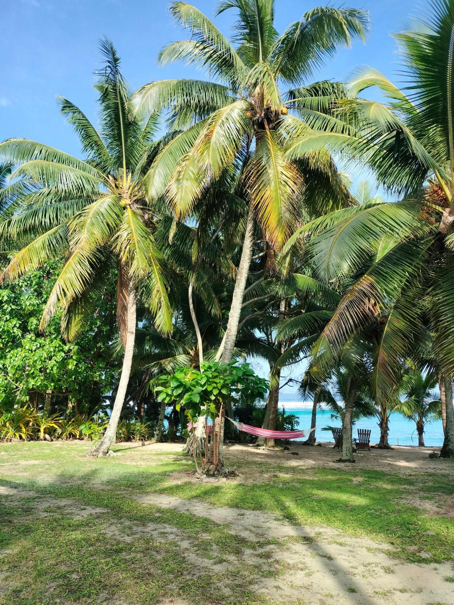 Oronga Beach 阿罗朗吉 外观 照片
