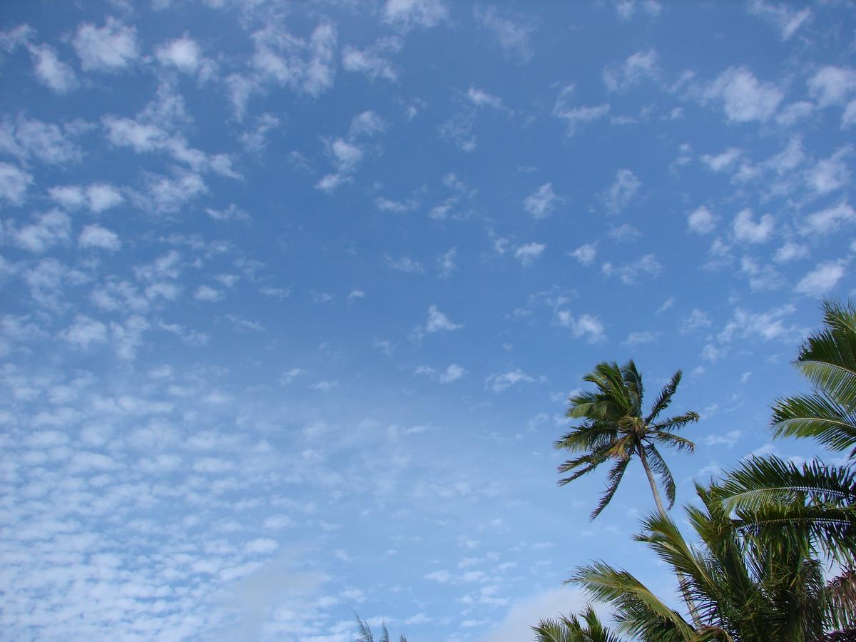 Oronga Beach 阿罗朗吉 外观 照片